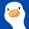 Profile photo of Linh VÅ©