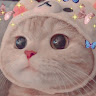 Profile photo of Mai Chi