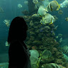 Profile photo of Minhh Tú