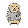 Profile photo of Nam