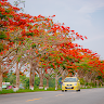 Profile photo of Tráº§n