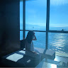 Profile photo of Sao Mai Hà