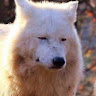 Profile photo of Vu Hanh Linh