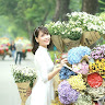 Profile photo of Nguyen Thuy