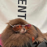 Profile photo of _Xuan_Dat_2006 Le