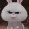 Profile photo of Thỏ