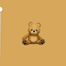 Profile photo of bear bear