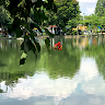 Profile photo of Tu Tran