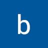 bichnguyen3