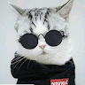 Profile photo of kenny ninh
