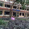 Profile photo of vuong