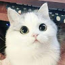 Profile photo of Hestia Khuu