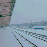 thaotran2
