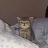 Profile photo of Lily