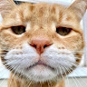 Profile photo of Chloe