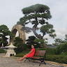 Profile photo of Lương Đoàn Hải Linh