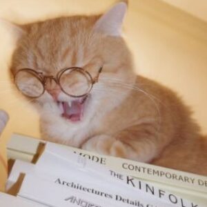 Profile photo of Phạm Hải Anh