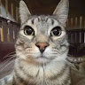 Profile photo of Hoàng Quý Trần