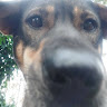 Profile photo of Truc Ta