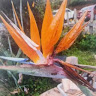 Profile photo of Thái Gia Thiên